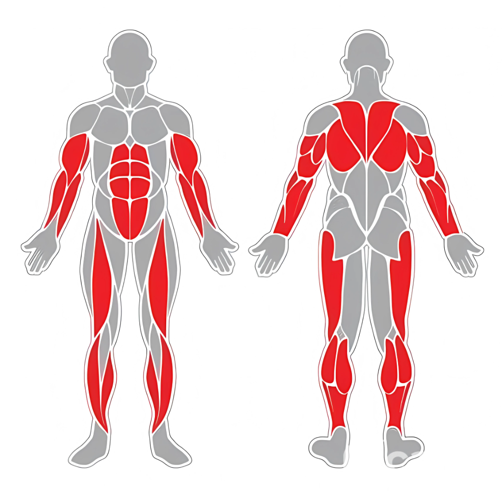 Cabalgata (Mdj-720) - Imagen 2
